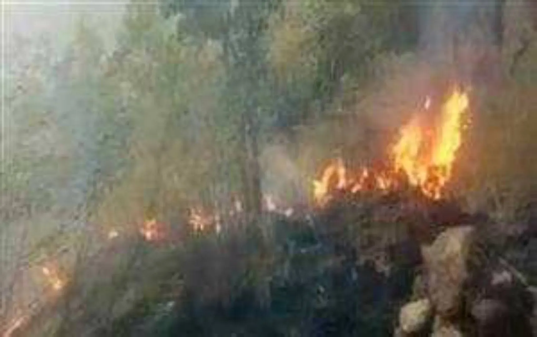 theni forest fire